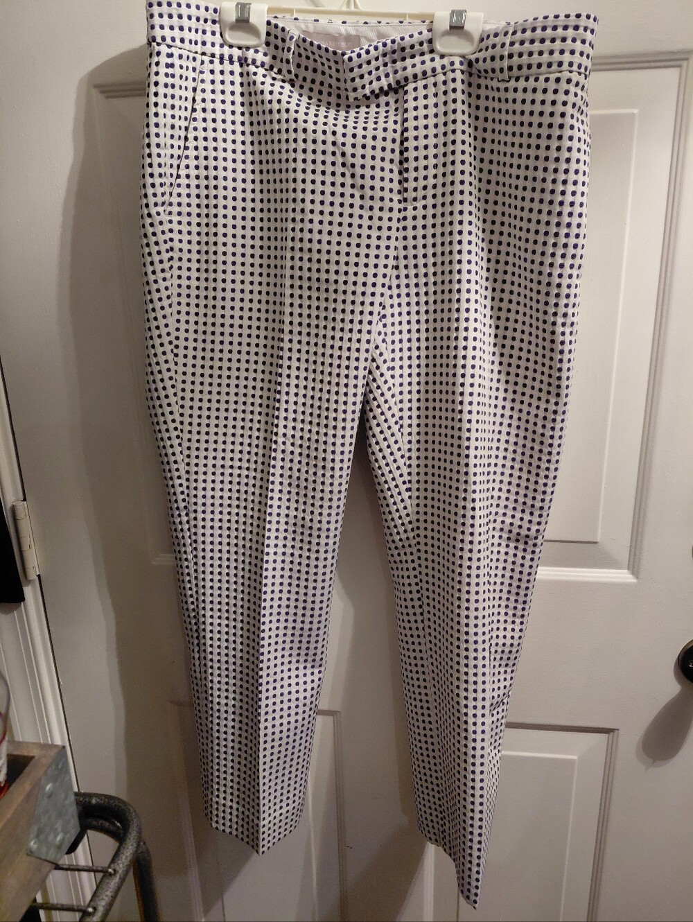 White Cropped Pants with Navy Dot Print